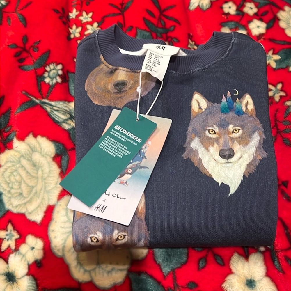 Whooli Chen x H & M sweatshirt ~ kids size 6X/7